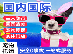 成吉思汗航空快运国际宠物托运 【国